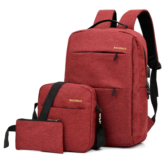 Casual Men′s Backpack Three